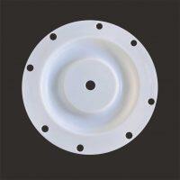 P286-108-600 Diaphragm PTFE Fit Sandpiper Pumps