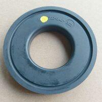P722-040-363 Sandpiper Valve Seats FKM
