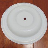 PE163TF Versa-Matic Diaphragm PTFE