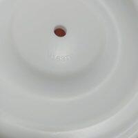 PE163TF Versa-Matic Diaphragm PTFE