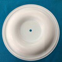 PV224TF Versa-Matic Diaphragm PTFE