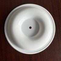 PV305TF-FB Diaphragm PTFE Fit VersaMatic Pumps