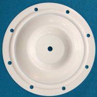 P25-016 Diaphragm PTFE Fit Blagdon AODD Pumps