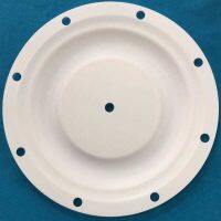 P40-020 Diaphragm PTFE Fit Blagdon AODD Pumps