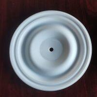 P04-1040-55-42 Diaphragm PTFE Bolted Fit Wilden Parts