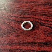 P04-3879-50 O-Ring Fit Wilden Pumps Parts