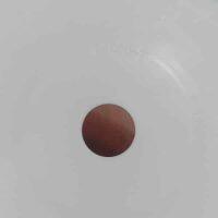 P94090-T ARO Diaphragm PTFE P94090-T ARO Diaphragm PTFE