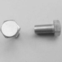 Y5-85-T Screw	304SUS