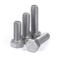 P15-6184-08 Screw HHC Fit Wilden Pumps