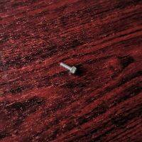 P113554 Screw hex flange SST Fit Graco Pumps