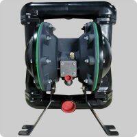 P666170-144-C AODD PUMPS