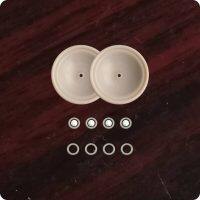 P01-9804-56 Wet End Kit 0.5"/0/M/FSS Fit Wilden Pumps