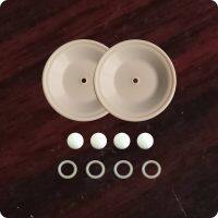 P02-9804-56 Wet End Kit 1"/O/M/FSS Fit Wilden Pumps