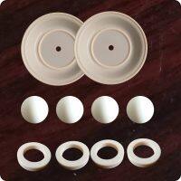 P08-9804-56 KIT WET 2"/C/M/FSS Fit Wilden Pumps