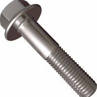 P171.078.115 Capscrew Flanged SS Fit for Sandpiper Pumps P171-078-115