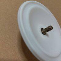 P00-1030-55 wilden diaphragm PTFE