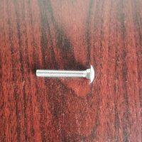 P04-6050-03 Carriage Bolt 1/4-20 x 2 Stainless Steel Fit Wilden Parts