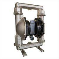PD20A-BSS-STT-B AODD PUMPS Expert Metallic Fit ARO Pumps
