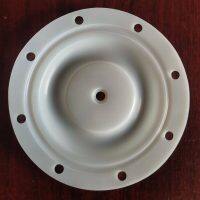 P6202 Diaphragm PTFE Fit BSK Pumps BA25XX