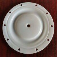 P6259 Diaphragm PTFE Fit BSK Pumps A40XX