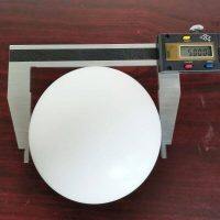 P20-1080-55 Wilden Valve Balls PTFE