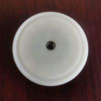 P08-4550-21-500 Pistons Outer PVDF Fit Wilden Pumps
