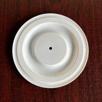 11406-59 Diaphragm PTFE Fit All-Flo Pump