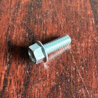 P171.076.330 Capscrew Flanged Fit Sandpiper Pumps