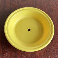 V163TPEXL Diaphragm Santoprene Fit VersaMatic Pumps