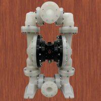 PD30P-FPS-PAA AODD Pumps Compatible With ARO