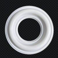 08-1011-55 Diaphragm PTFE Fit Wilden H800