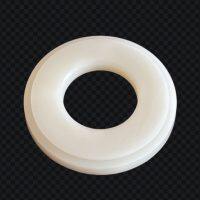 P95847-2 Valve Seat PVDF Fit For ARO Pumps