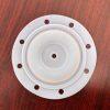 P6322 Diaphragm PTFE Fit BSK Pumps P6322 Diaphragm PTFE Fit BSK Pumps