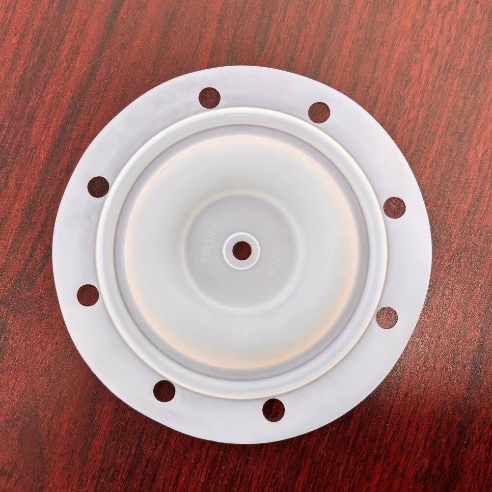P6322 Diaphragm PTFE Fit BSK Pumps P6322 Diaphragm PTFE Fit BSK Pumps