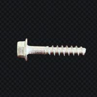 23981574 Screw SST Fit ARO Pumps